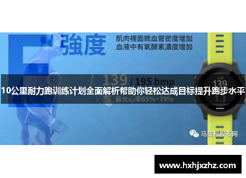 10公里耐力跑训练计划全面解析帮助你轻松达成目标提升跑步水平